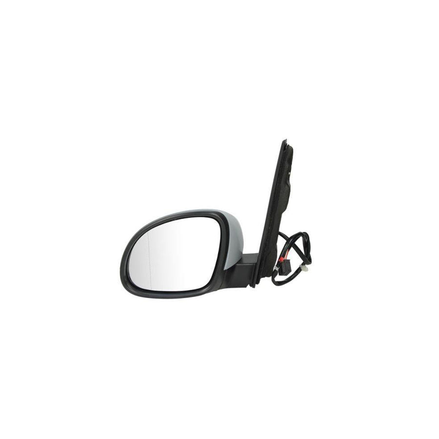 Blic 5402-10-2002261P Wing Mirror