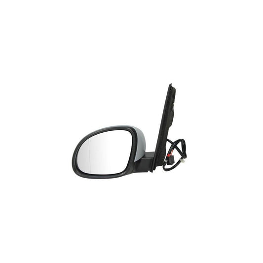 Blic 5402-10-2002261P Wing Mirror