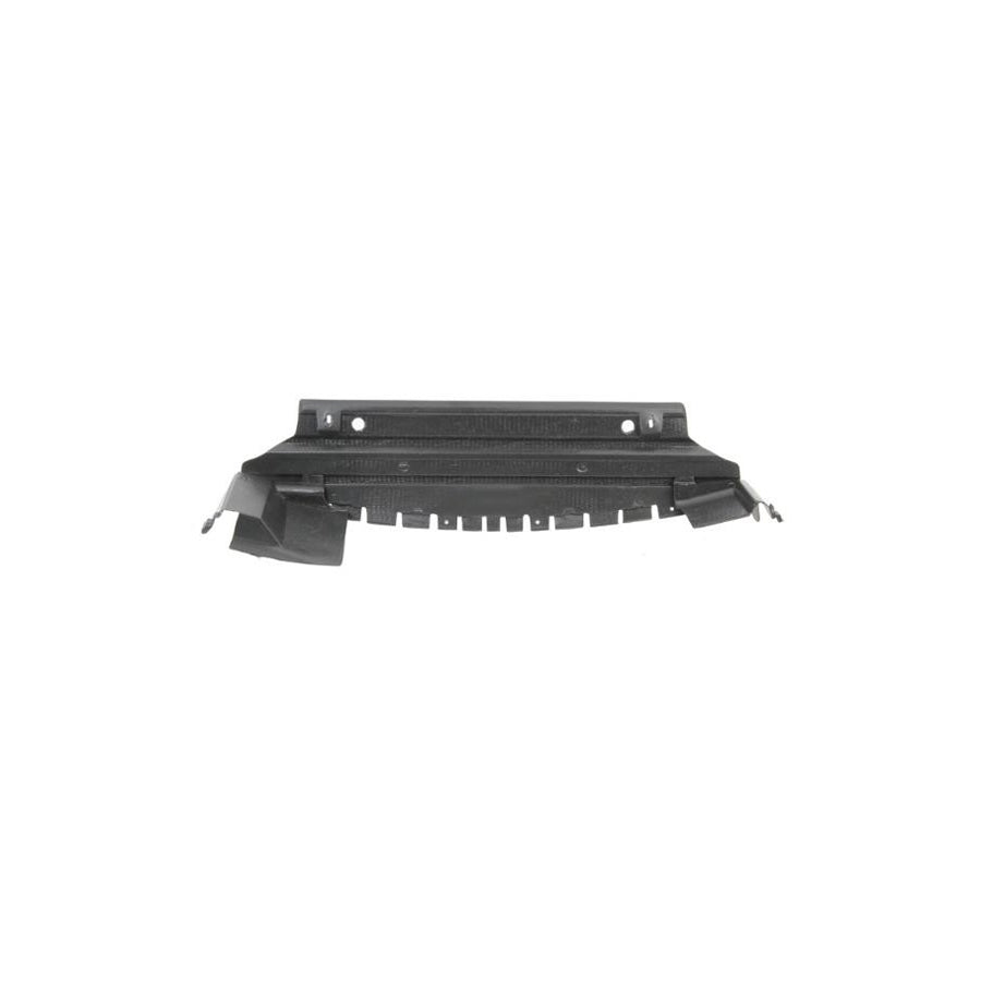 Blic 6601-02-6032880P Skid Plate