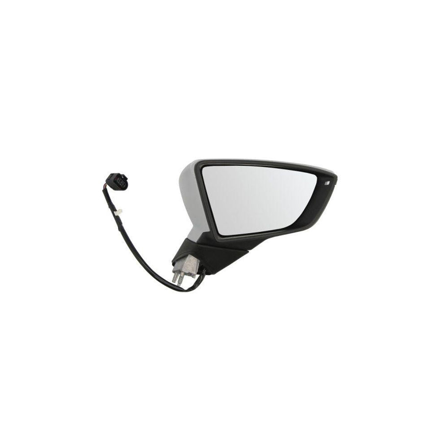 Blic 5402-10-2002302P Wing Mirror
