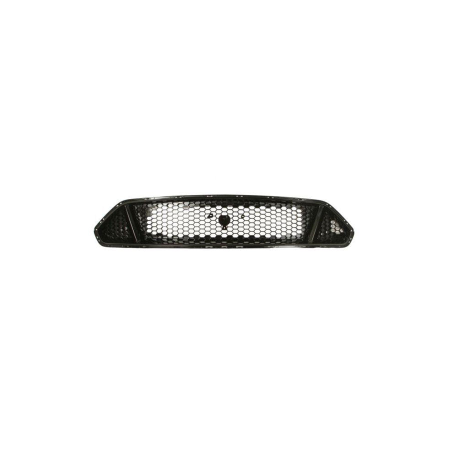 Blic 6502-07-2553992P Radiator Grille For Ford Usa Mustang Mach-E