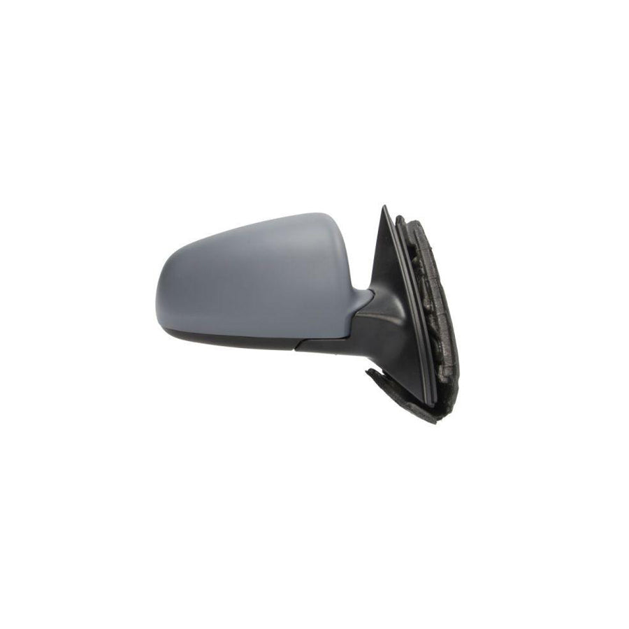 Blic 5402-04-1119525P Wing Mirror For Audi A4