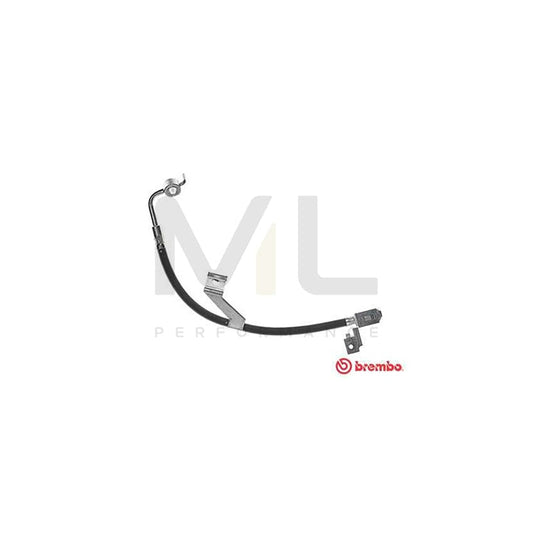 BREMBO T 24 082 Brake Hose for FORD ESCORT 315mm, F10X1 | ML Performance Car Parts
