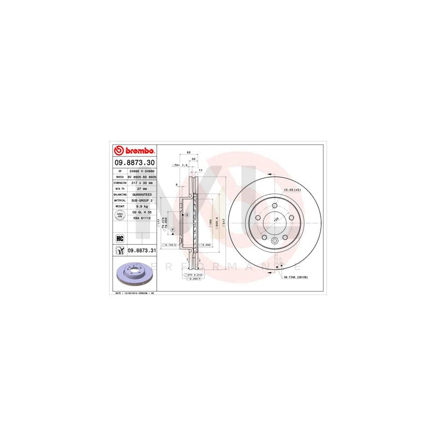 BREMBO 09.8873.30 Brake Disc Internally Vented, High-carbon | ML Performance Car Parts