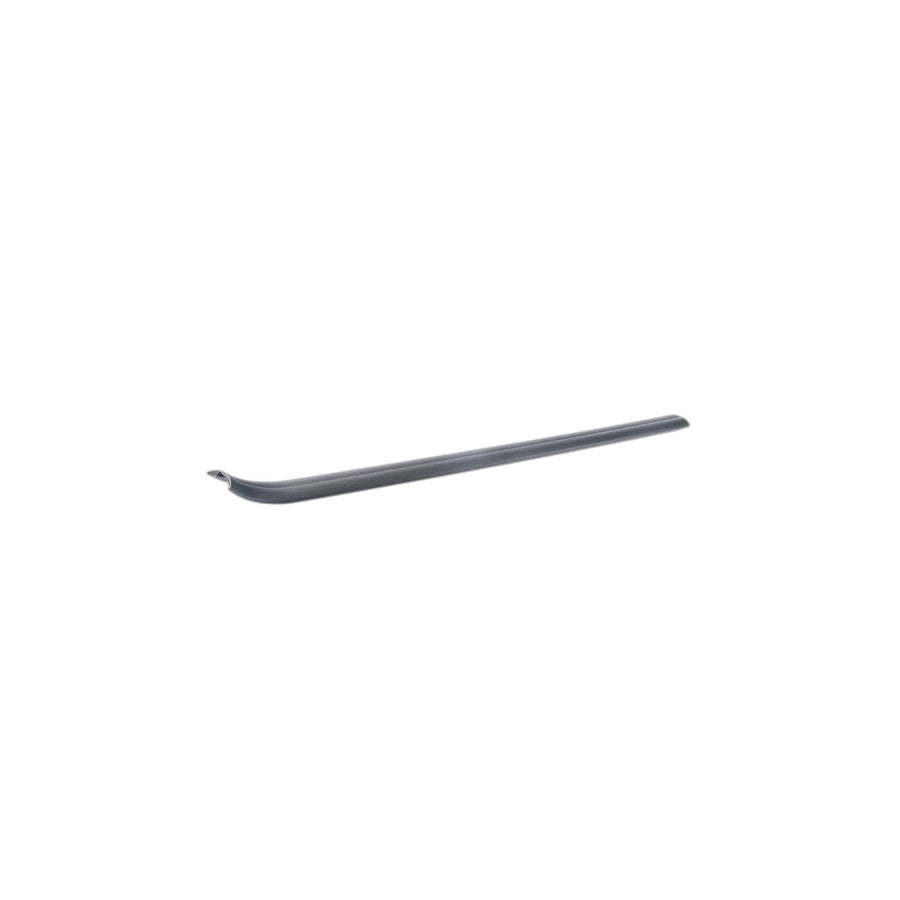 Genuine BMW 51476981706 E81 E88 E82 Cover Strip, Entrance, Interior, Right SCHWARZ (Inc. 123d, 116d & 128i) | ML Performance UK Car Parts