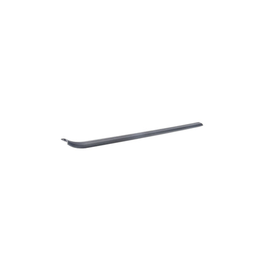 Genuine BMW 51476981706 E81 E88 E82 Cover Strip, Entrance, Interior, Right SCHWARZ (Inc. 123d, 116d & 128i) | ML Performance UK Car Parts