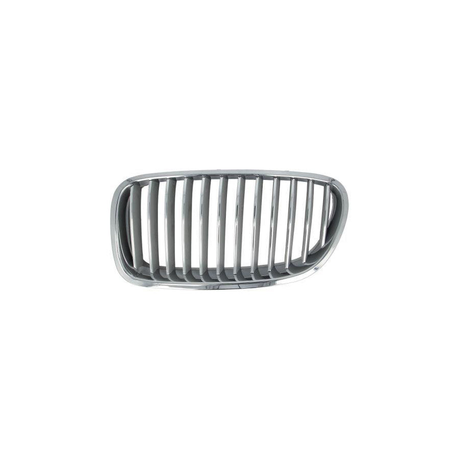 Blic 6502-07-0067996P Radiator Grille For BMW 5 Series
