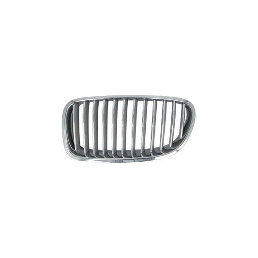 Blic 6502-07-0067996P Radiator Grille For BMW 5 Series