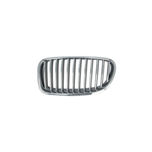 Blic 6502-07-0067995P Radiator Grille For BMW 5 Series