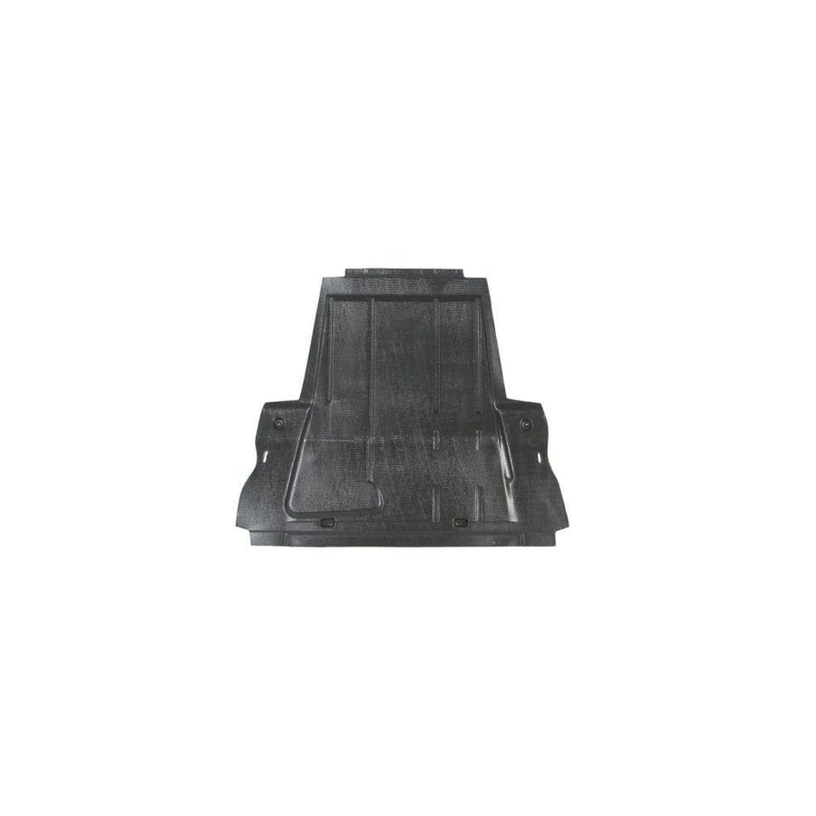 Blic 6601-02-6041860Q Skid Plate