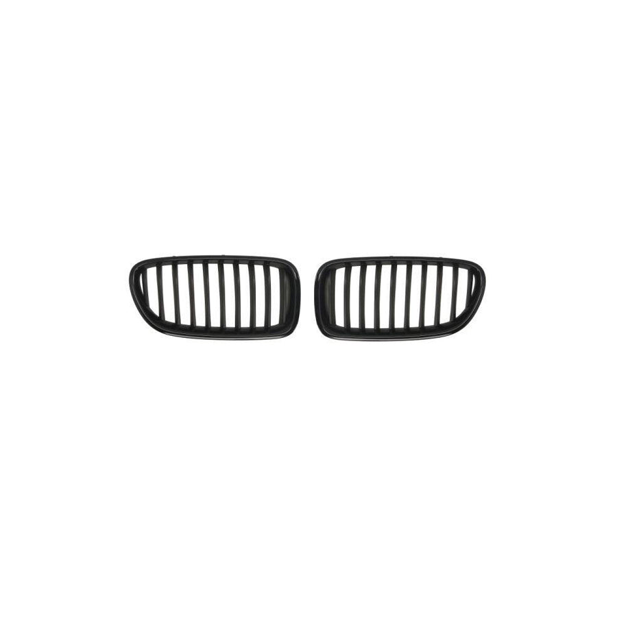 Blic 6502-07-0067994Kp Radiator Grille For BMW 5 Series