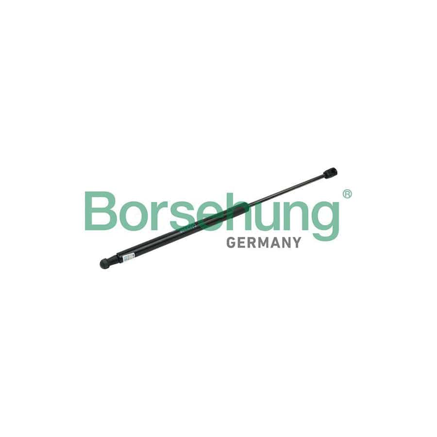 Borsehung B14200 Tailgate Strut For Skoda Fabia