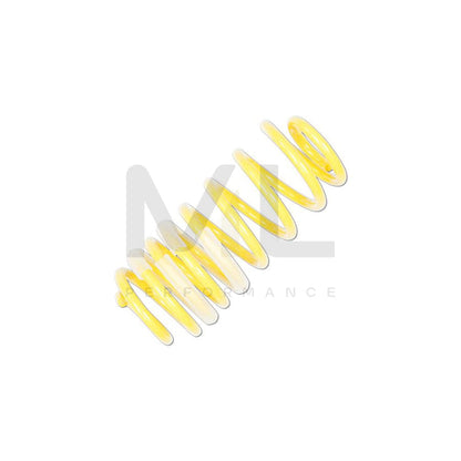 ST Suspensions 28230071 Ford Fiesta Mk7  SPORT SPRINGS 1 | ML Performance UK Car Parts