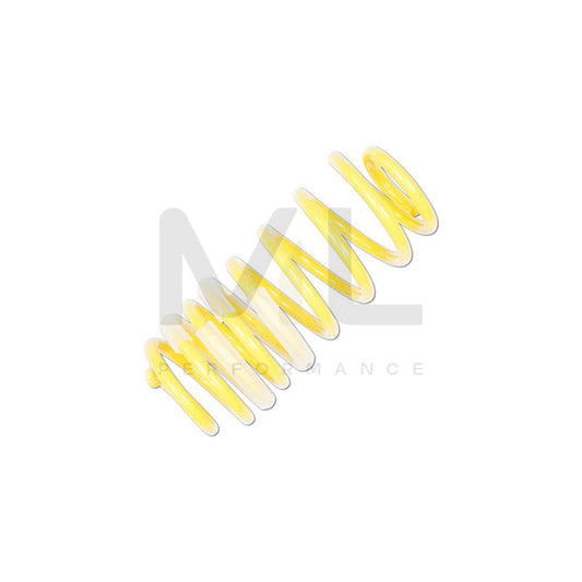 ST Suspensions 28230071 Ford Fiesta Mk7  SPORT SPRINGS 1 | ML Performance UK Car Parts
