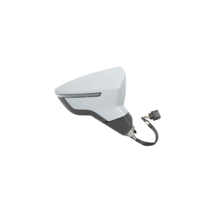 Blic 5402-10-2002304P Wing Mirror