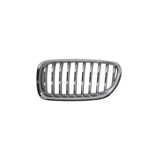 Blic 6502-07-0067997Cp Radiator Grille For BMW 5 Series