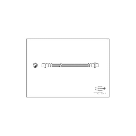 Corteco 19025844 Brake Hose | ML Performance UK