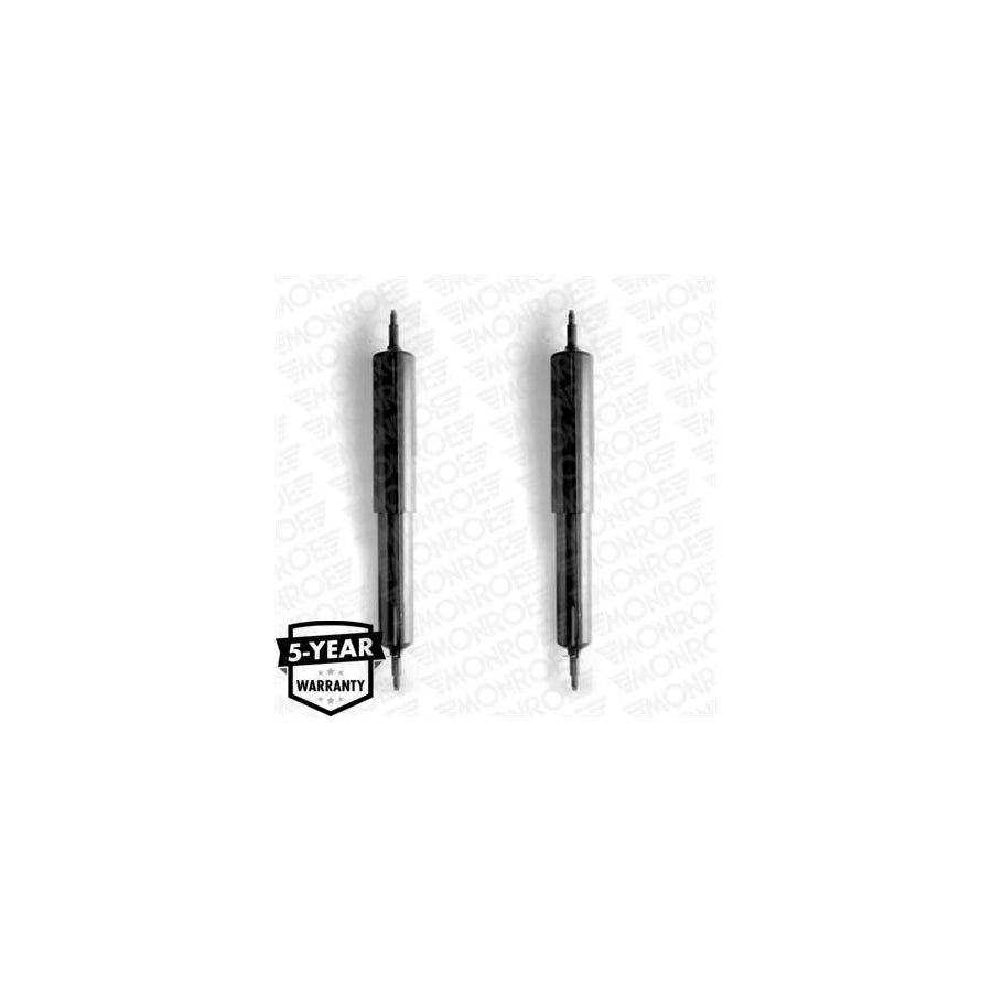 Monroe D6419 Shock Absorber