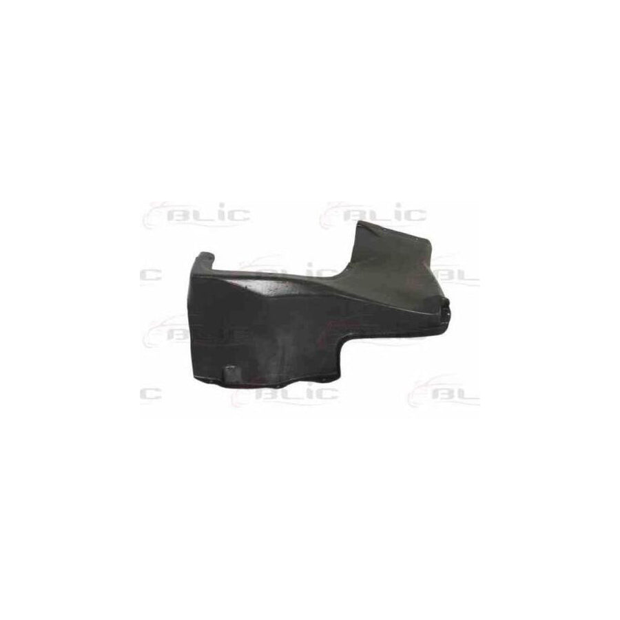 Blic 6601-02-6607885P Skid Plate