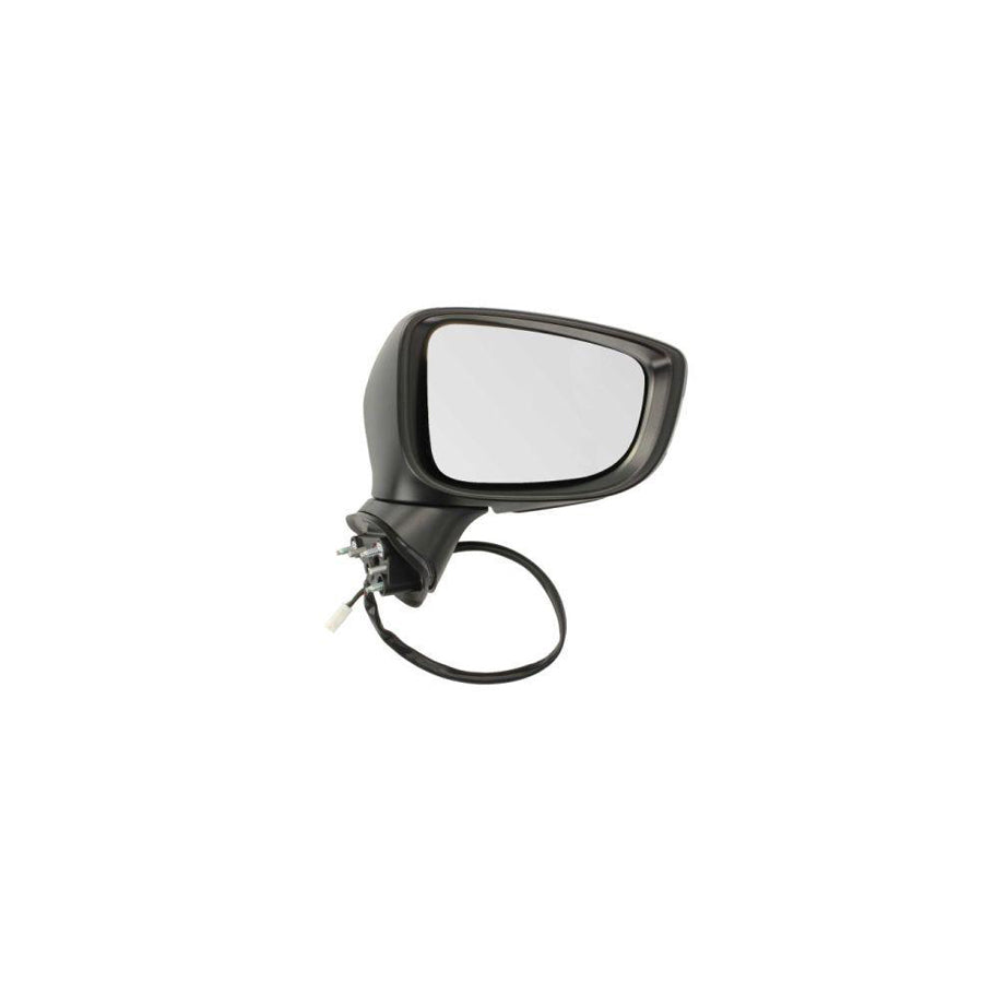 Blic 5402-14-2001704P Wing Mirror For Mazda 3