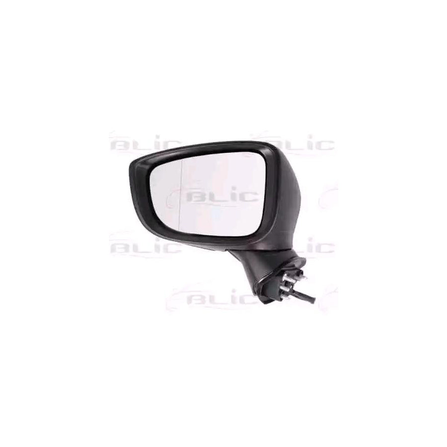 Blic 5402-14-2001701P Wing Mirror For Mazda 3