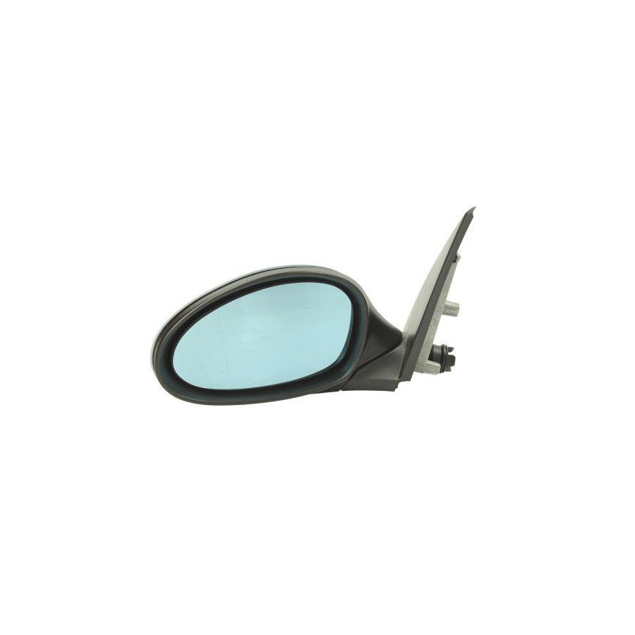 Blic 5402-04-1191823 Wing Mirror
