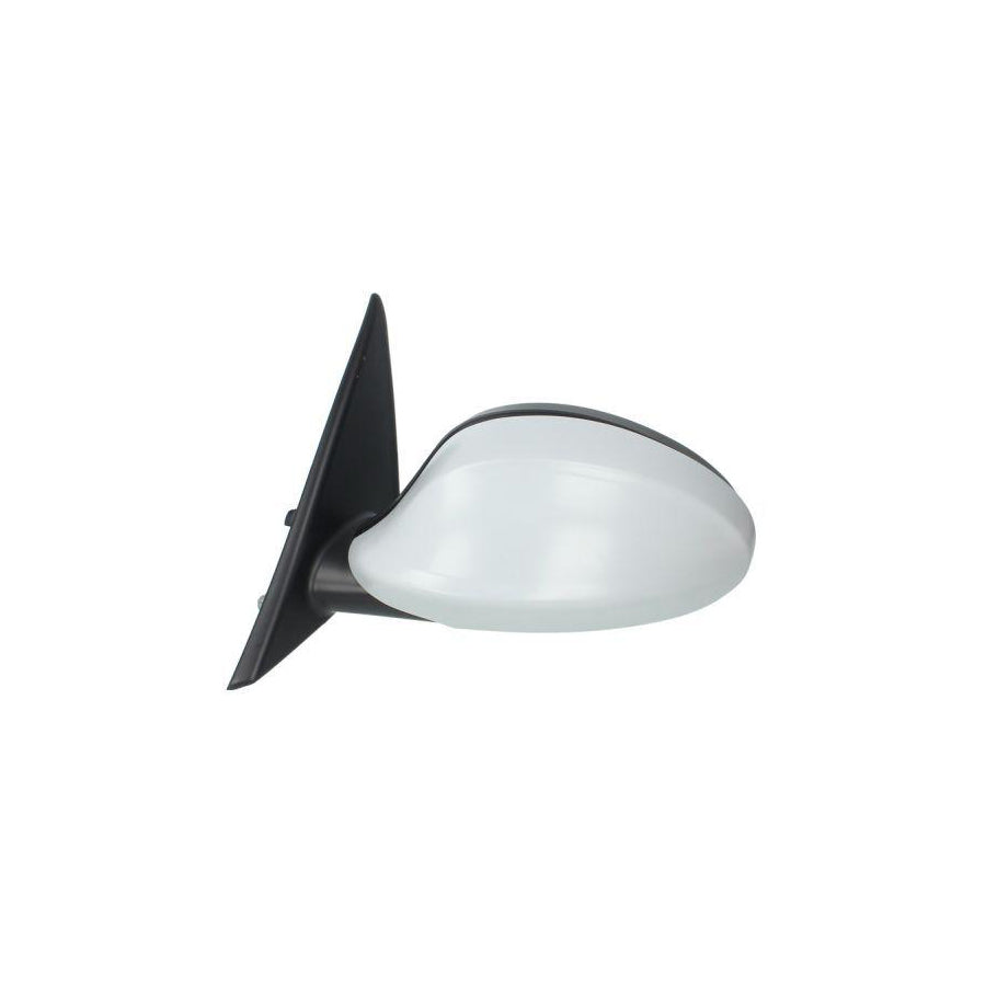 Blic 5402-04-1191520 Wing Mirror