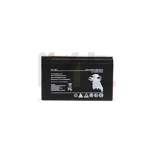 Lion VRLA 12V 7Ah Sealed Battery (Spade) | ML Performance UK Car Parts