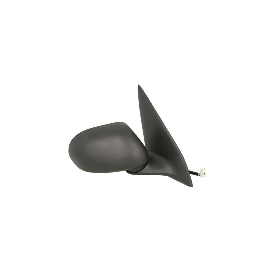 Blic 5402-04-1121300P Wing Mirror