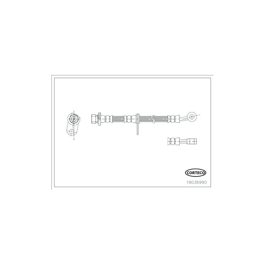 Corteco 19036990 Brake Hose | ML Performance UK