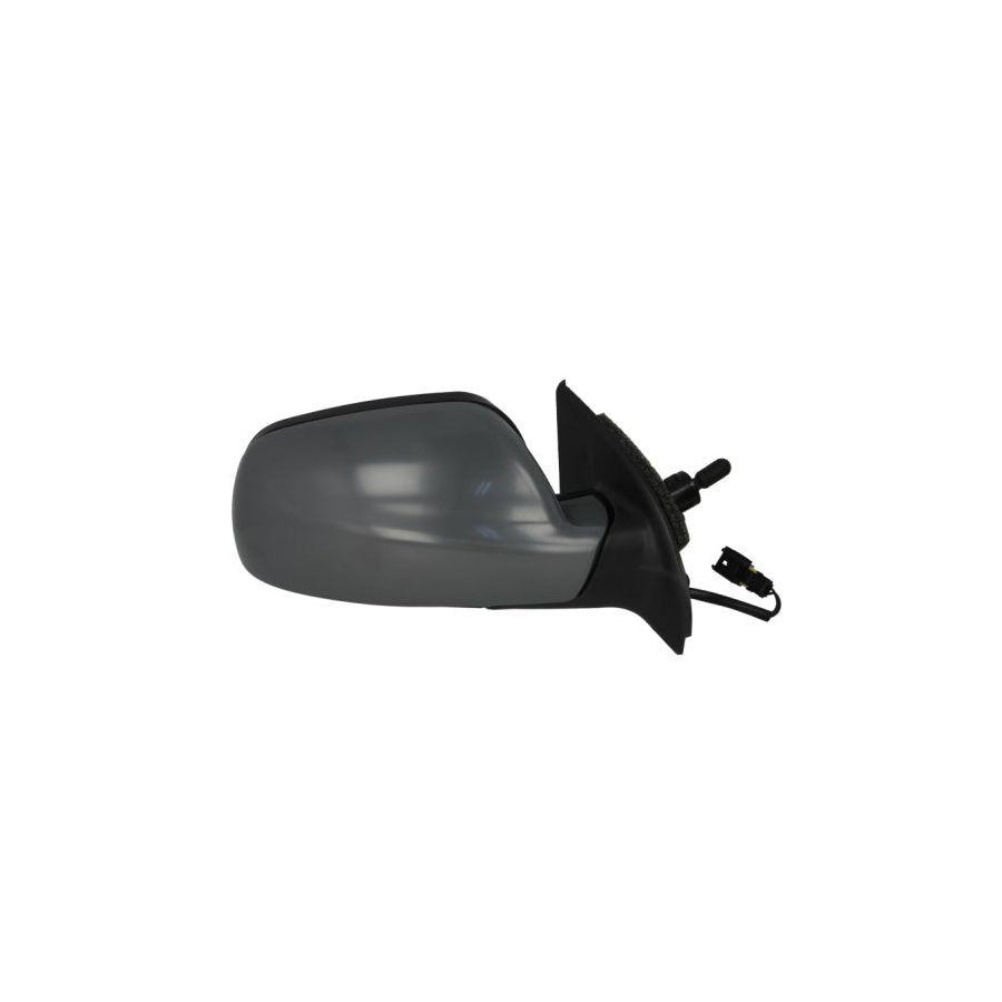 Blic 5402-04-1121289P Wing Mirror For BMW 3 Series