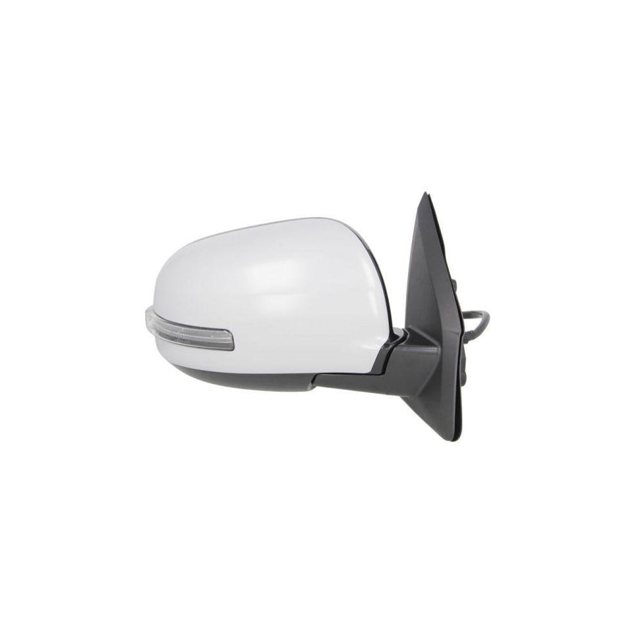 Blic 5402-15-2001848P Wing Mirror