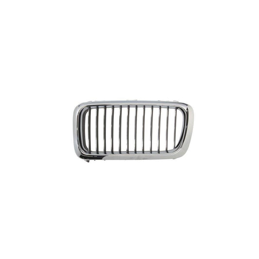 Blic 6502-07-0075993P Radiator Grille For BMW 7 (E38)