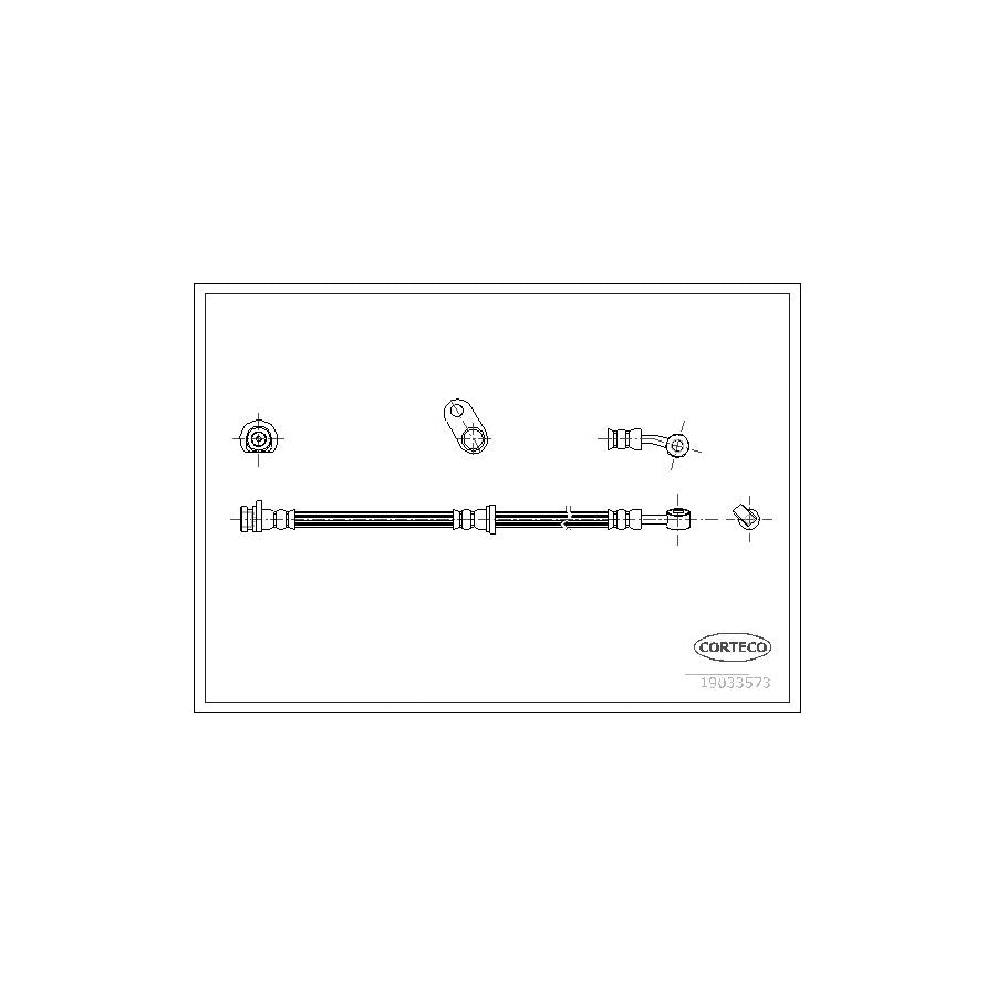 Corteco 19033573 Brake Hose For Honda Accord | ML Performance UK