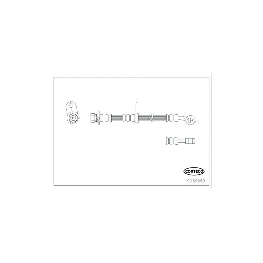 Corteco 19036989 Brake Hose | ML Performance UK