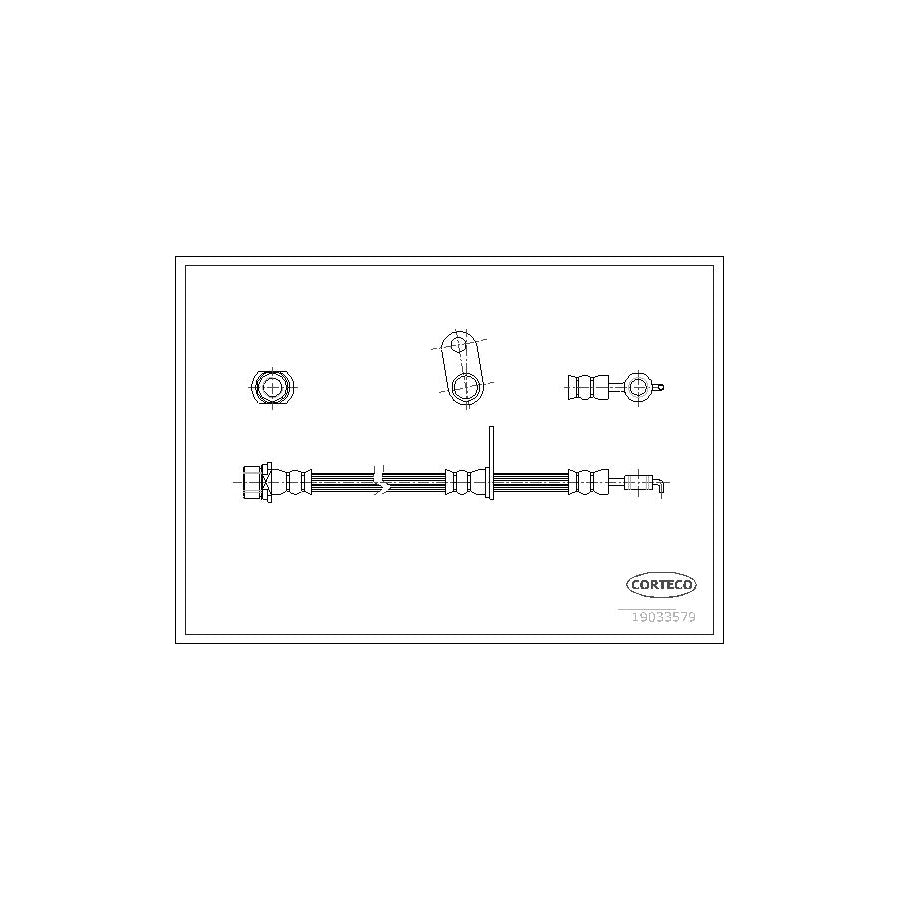 Corteco 19033579 Brake Hose | ML Performance UK