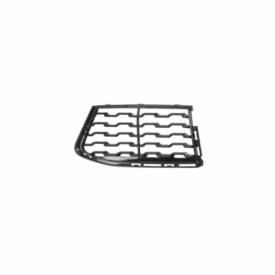 Blic 6502-07-0078911P Bumper Grill For BMW 7 (G11, G12)