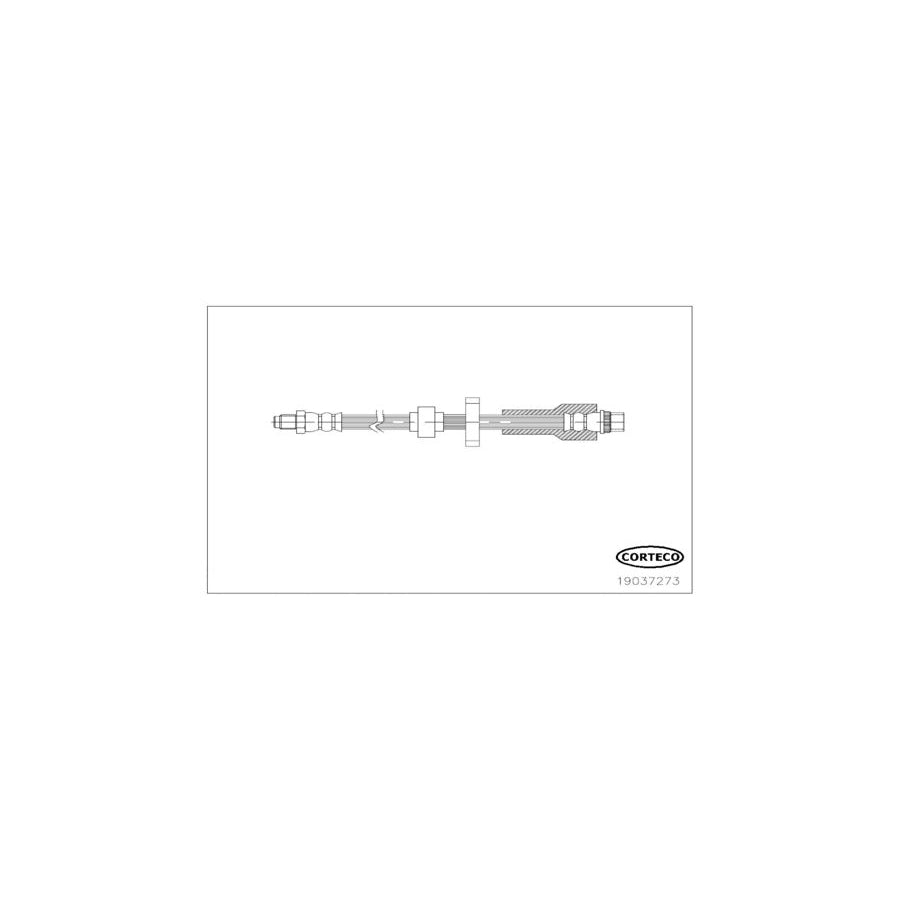 Corteco 19037273 Brake Hose | ML Performance UK