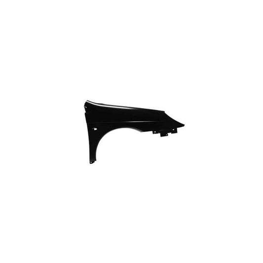 Abakus 00918202 Wing Fender For Citroën C5 | ML Performance UK