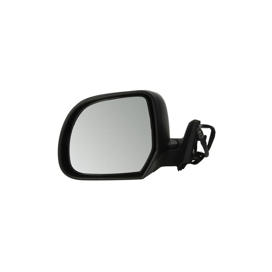 Blic 5402-16-0969361P Wing Mirror