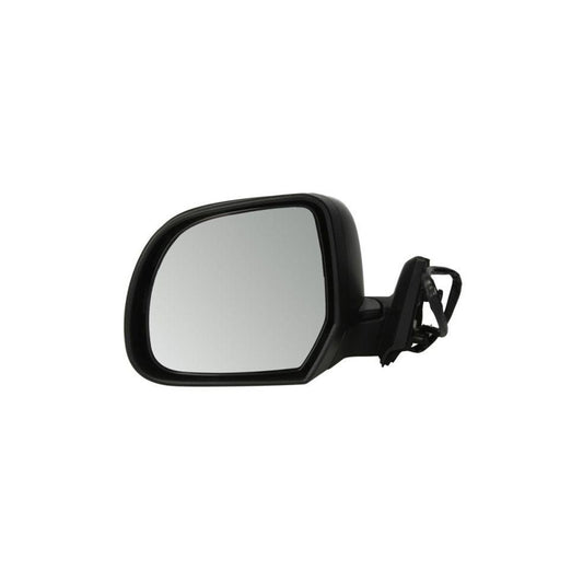 Blic 5402-16-0969361P Wing Mirror