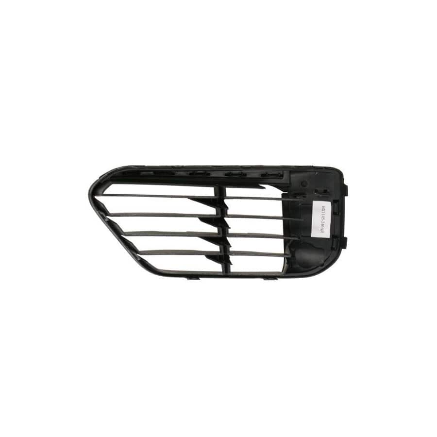 Blic 6502-07-0082914P Bumper Grill For BMW X1 (F48)