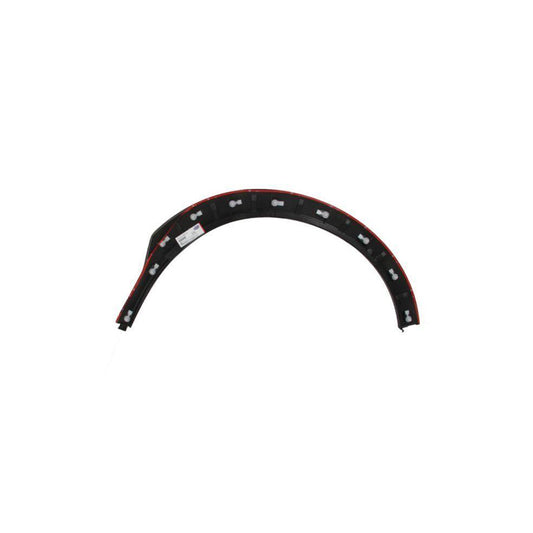 Blic 5703-06-6735571P Trim / Protective Strip, Mudguard