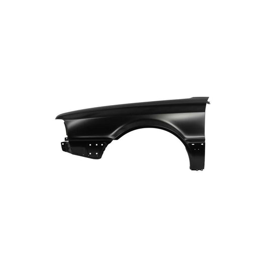 Blic 6504-04-0017311P Wing Fender