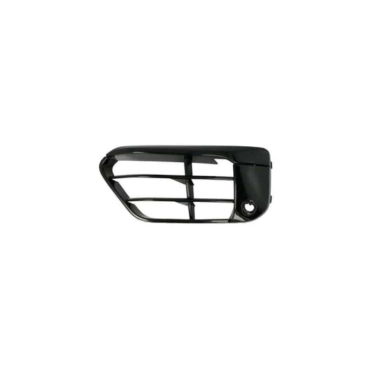 Blic 6502-07-0082911Sp Bumper Grill For BMW X1 (F48)
