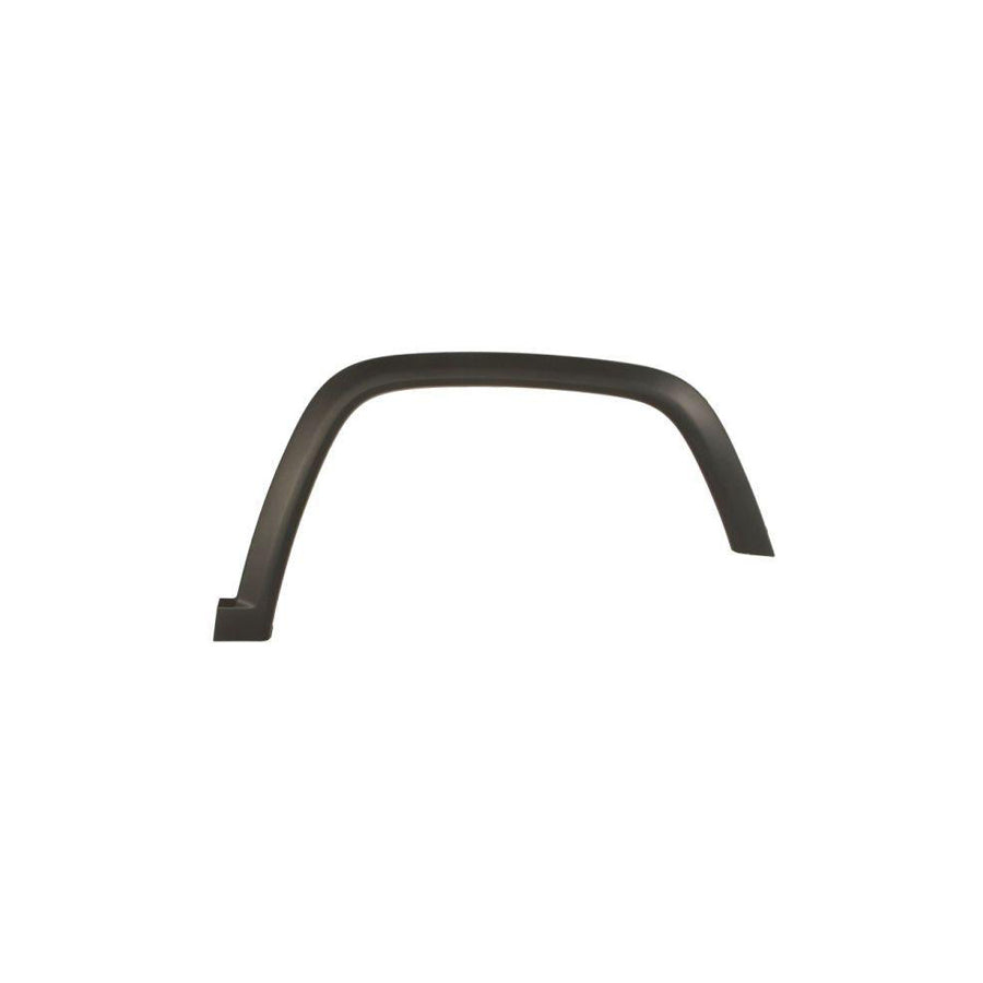 Blic 5703-06-3217572P Trim / Protective Strip, Mudguard