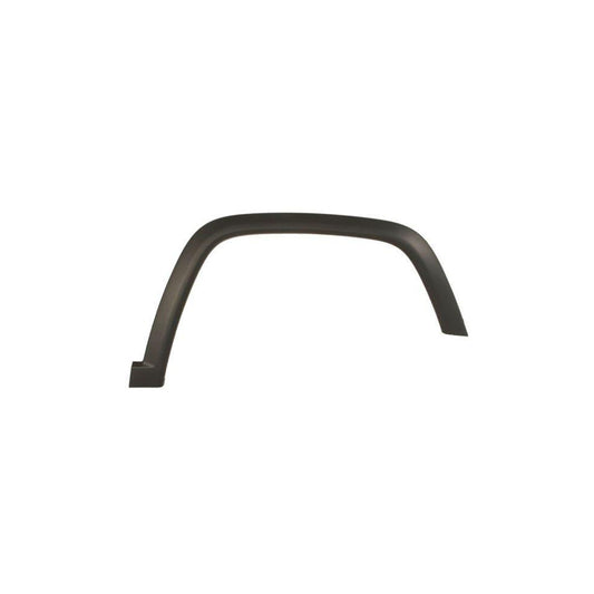 Blic 5703-06-3217572P Trim / Protective Strip, Mudguard