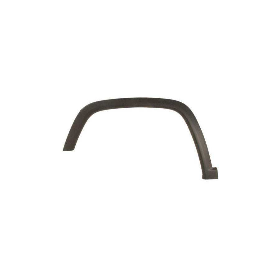 Blic 5703-06-3217571P Trim / Protective Strip, Mudguard