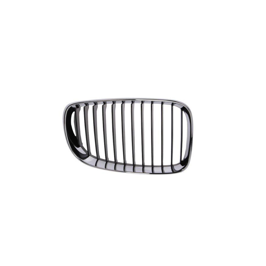 Blic 6502-07-0085992Pp Radiator Grille For BMW 1 Series