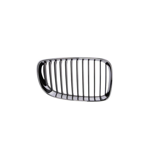 Blic 6502-07-0085992Pp Radiator Grille For BMW 1 Series